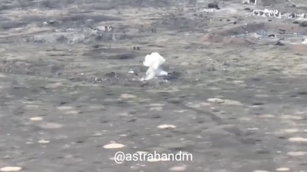 ����� �����: �������� 1-�� ��������� ������� ����������� ������� ���������� �������