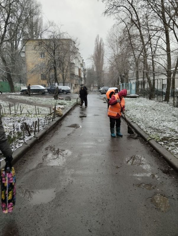 Василий Ткачук: Муниципальным унитарным предприятием администрации г. Донецка "Зеленого строительства Калининского района г. Донецка" ведутся работы по уборке листвы на разделительной полосе по бульвару Шевченко