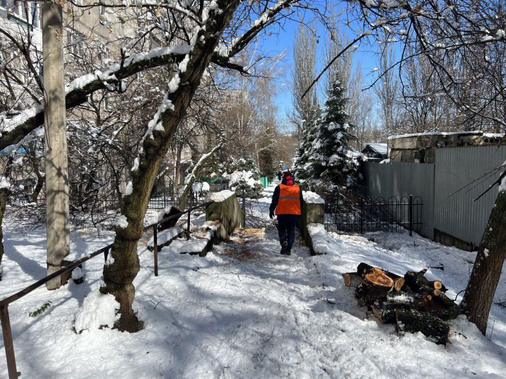 ������� ���������: ������� ���������� ����������� ����������� �������� �� ��. �����������������, 8, 11, 16, � ����� �� ��. ���������, 4