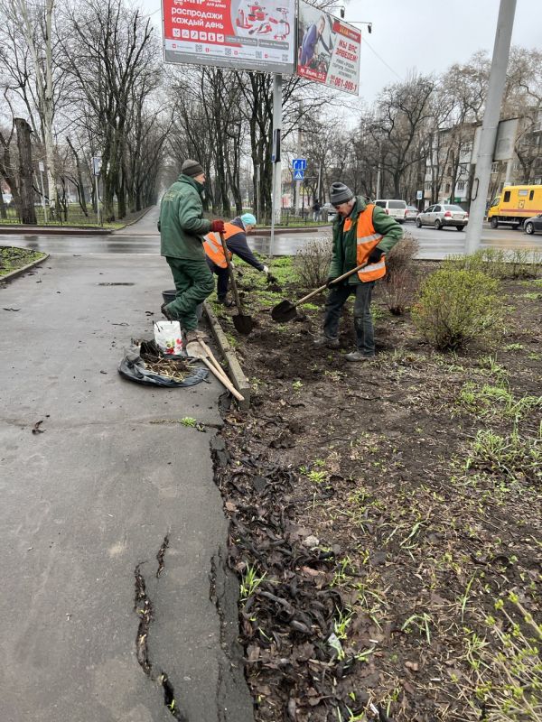 Василий Ткачук: Муниципальным унитарным предприятием администрации г. Донецка "Зеленого строительства Калининского района г. Донецка" ведутся работы по благоустройству и высадке роз в грунт на разделительной полосе по проспекту Ильича
