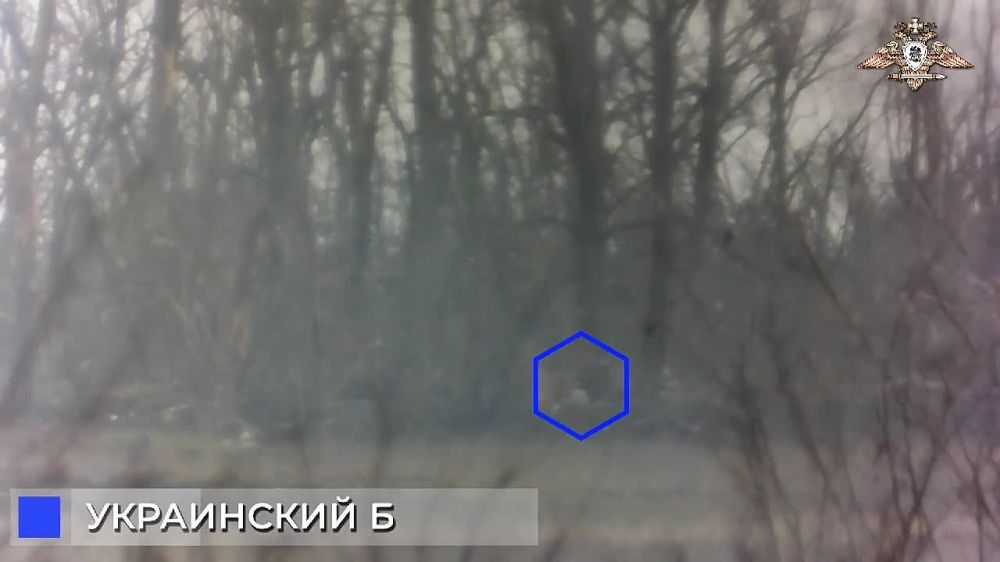 ����� �����: �������� 132 ������� ������������� ���� ���������� ��������