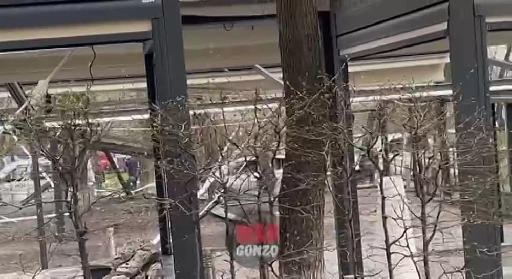 WarGonzo: ���������������� ����� ���� ����������� �� ������ �������