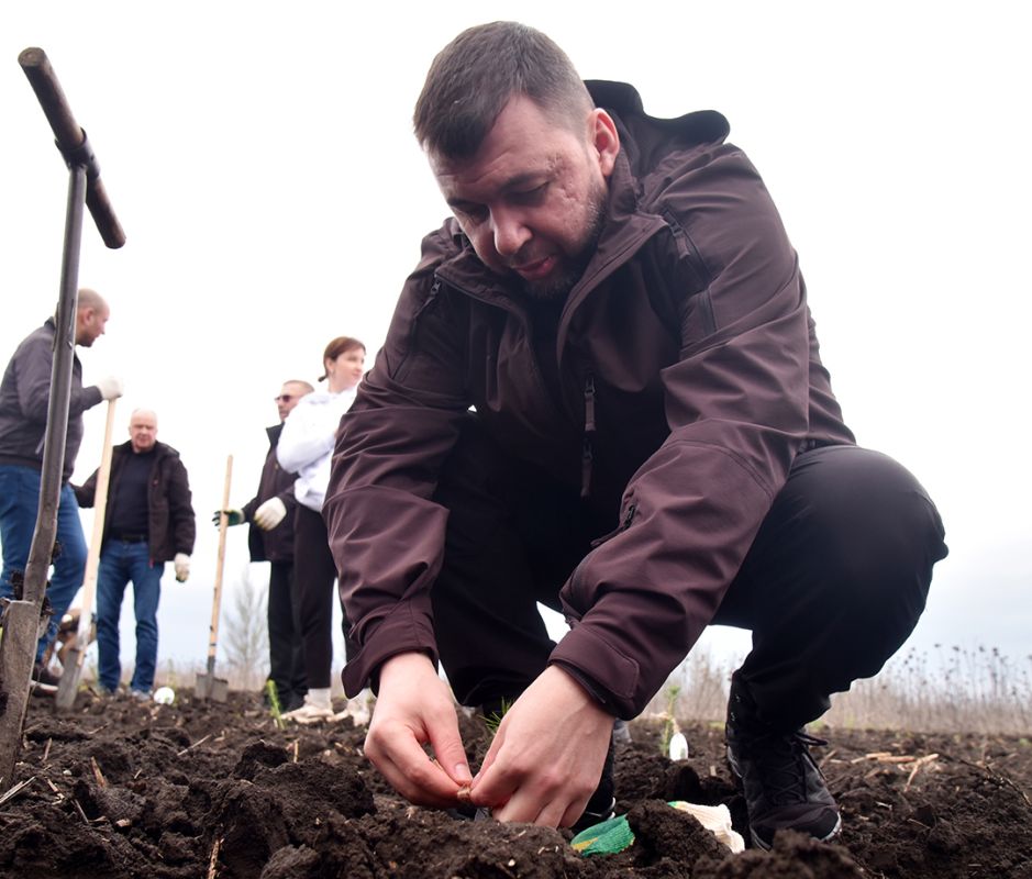 Денис Пушилин принял участие в высадке деревьев на Саур-Могиле в честь защитников Донбасса