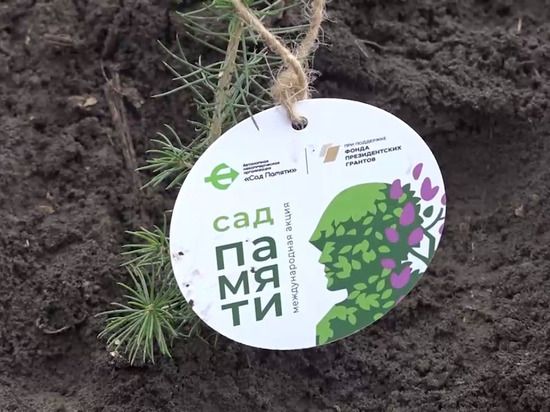 Пушилин: на Саур-Могиле высажены более тысячи деревьев в честь защитников Донбасса