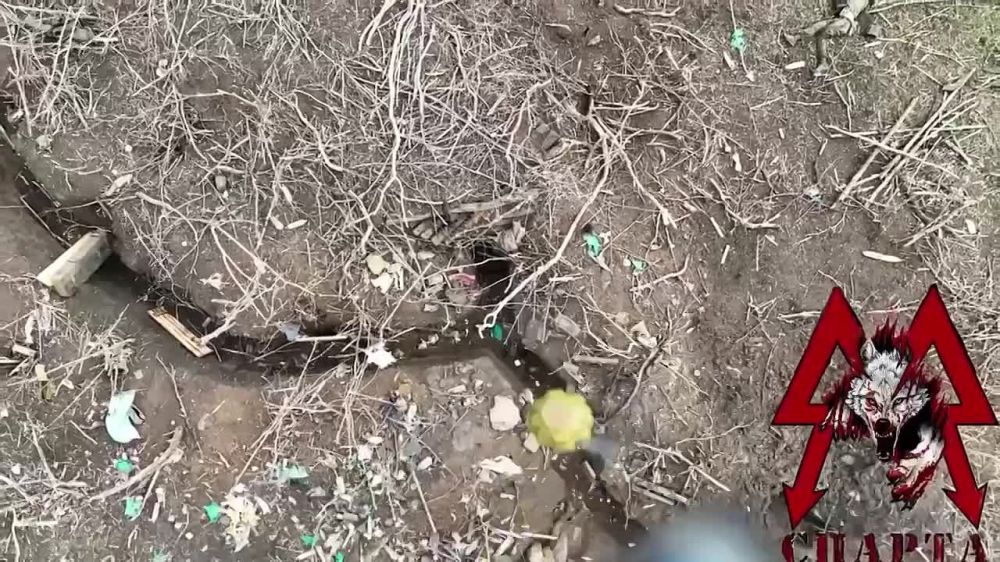 �������� ����� ���������� ��������� ��� � �������