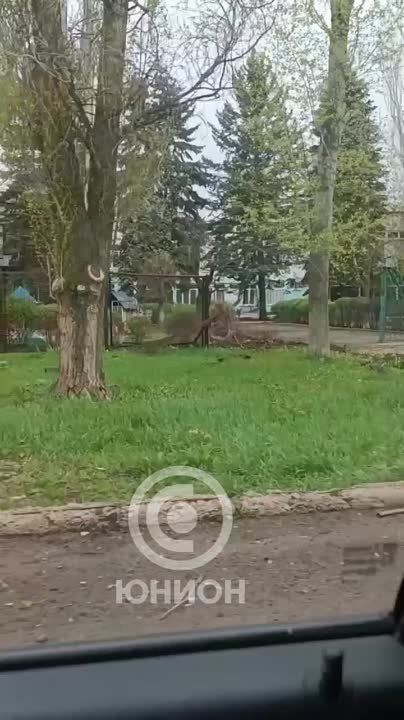 ����������� ������� �������� �������� ���� "���������" � ���������� ������ �������