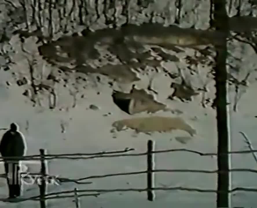 ����� ���������: ������� ������� �������� �� ������ ������� ��������