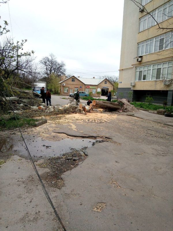 ������� ������: ������ ��� ��� "�� ������������ ������ �. �������" ������� ������ �� ������� � ������, �������� ������ �� ��. ���������, 4�