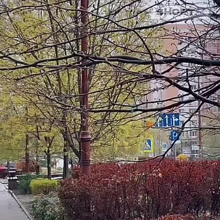 #��������. �������� ������ � �������