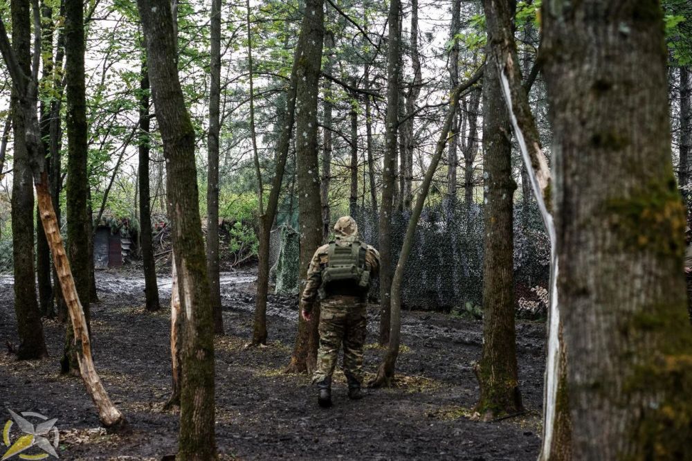 Денис Григорюк: Моя колонка "«Затишье» перед бурей" на сайте "Аналитическая служба Донбасса"