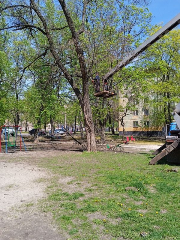 ������� ������: ��� ��� �� "����������� �������� ������������ ������ �. �������" ������� ���������� ������� ������ �� �������� ��������, 107