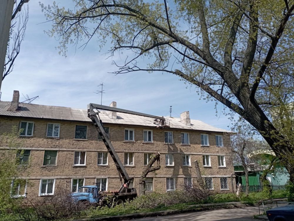 ������� ������: ������������� ��������� ������������ ������������� �. ������� "����������� �������� ������������ ������ �. �������" ������� ������ �� ������� ������ �� ������� ������ ����������, �. 80