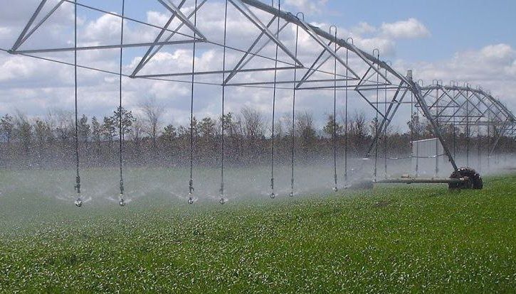 Владимир Ежиков: Повысить урожайность основных сельхозкультур в несколько раз позволяет использование оросительных систем, дождевальных машин и поливной техники