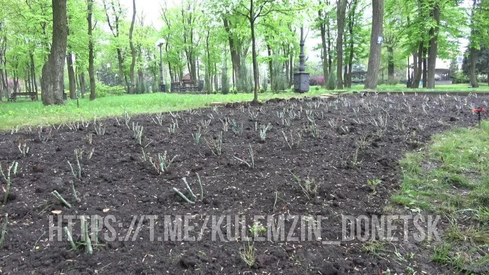 Алексей Кулемзин: Несмотря на непрекращающиеся обстрелы, с каждым днём наш город становится краше