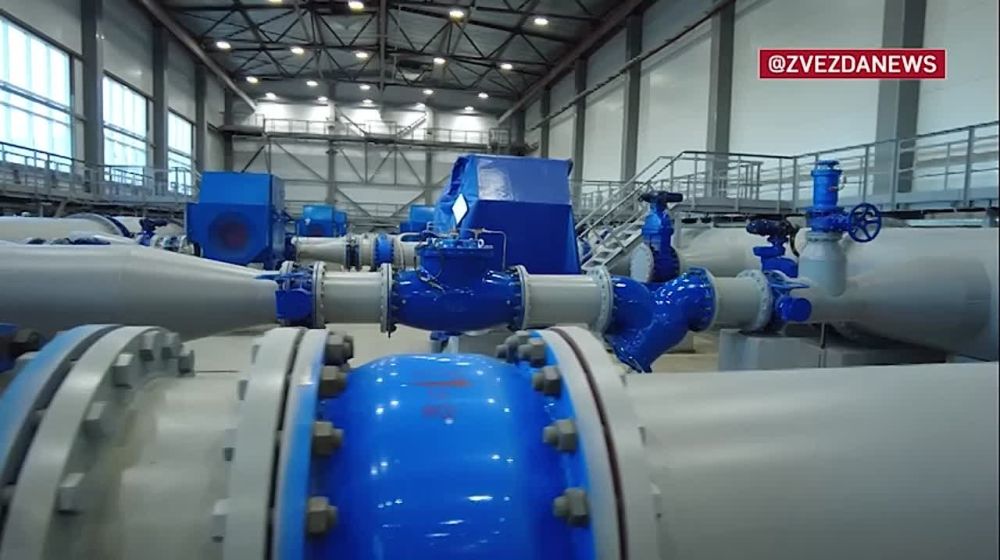 ����� �����: � ������ ����� ������ �������� ����