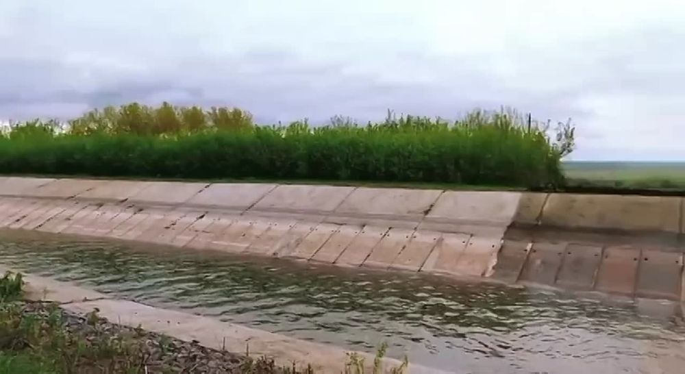 ����� ��������: ����� ����������� � ��������� �� ������������� �������� � ������ ������ ���� � ����� ���������-����� ����� �������� �������