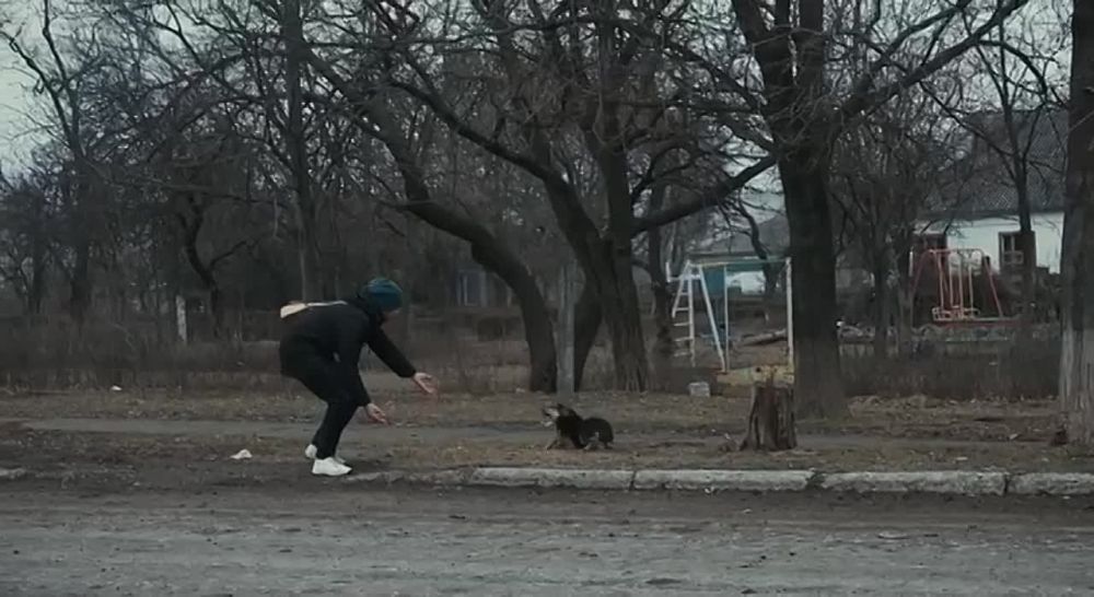 ������. �� ���������� �����:
