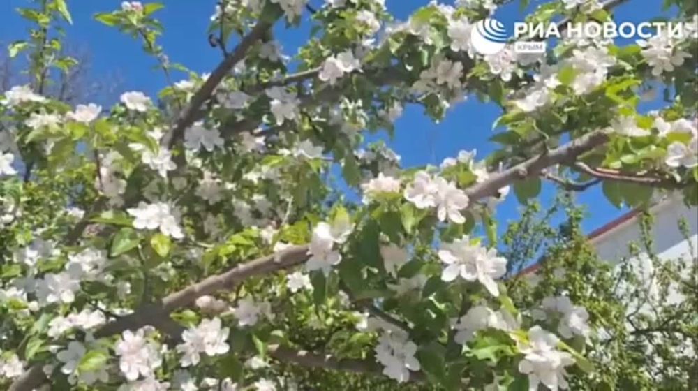 Олег Царёв: В ближайшее время планируется открытие железнодорожного движение по маршруту «Геническ — Новоалексеевка — Джанкой»