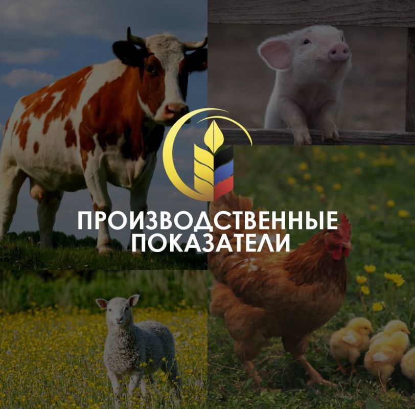 Артем Крамаренко: Сейчас аграрии продолжают активно вести весеннюю посевную кампанию, от которой будут зависеть виды на будущий урожай