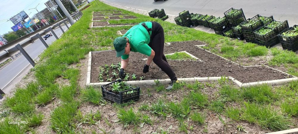 ������� ������: �������, ���������� ��� ��� "���������� ������������ ������" �������� 7000 ������ ���������� �� ������� ������- ����� ����� �� ��������� ������