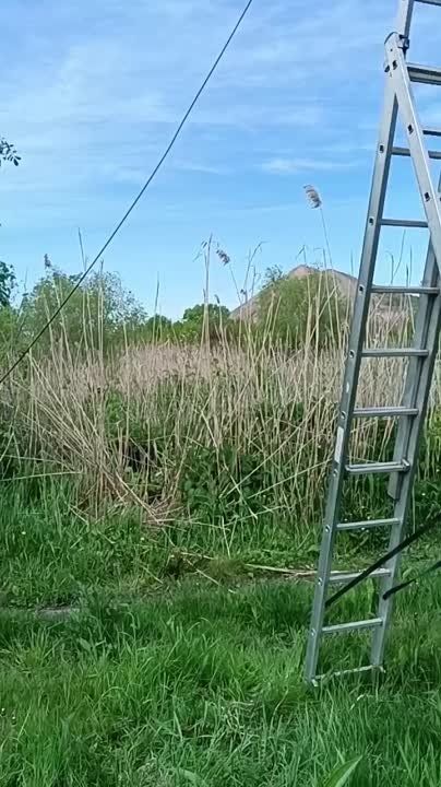 ������ �������: ���������� ����� � ������� � ������ ���� ��� ��������� ��������