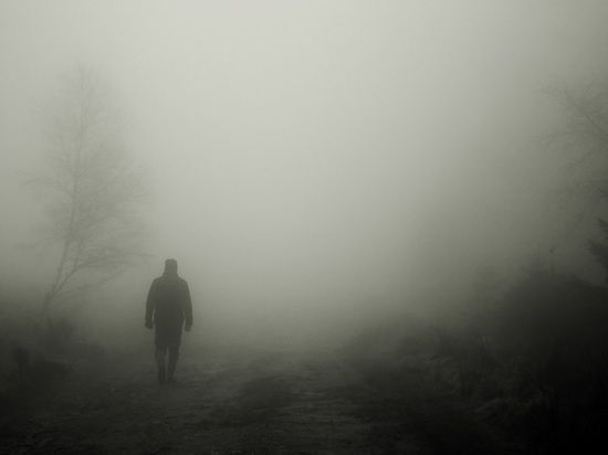 Задержанный за покушение на Захара Прилепина Александр Пермяков служил в ополчении ДНР