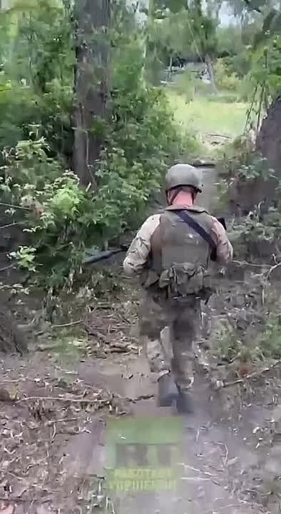 ����� �����: ����-�������� �����������