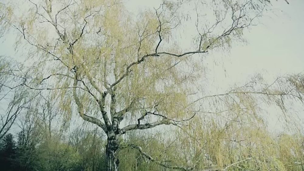 ПРЕМЬЕРА КЛИПА Аким Апачев - У Райских врат