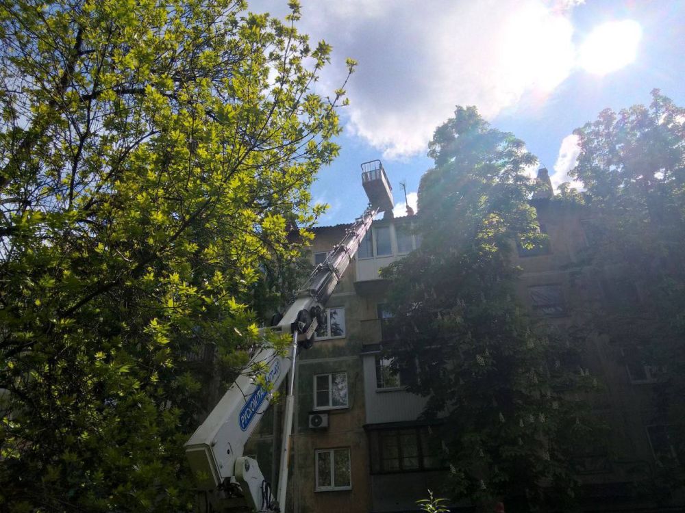 ������� ������: ����������� ( �.������) ������������ ������ �� ������� ������ ������ ���������������� ���� � 80 �� ��. ��������������, ����������� � ���������� �����������