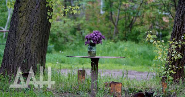 Основная картина событий в ДНР за 13 мая