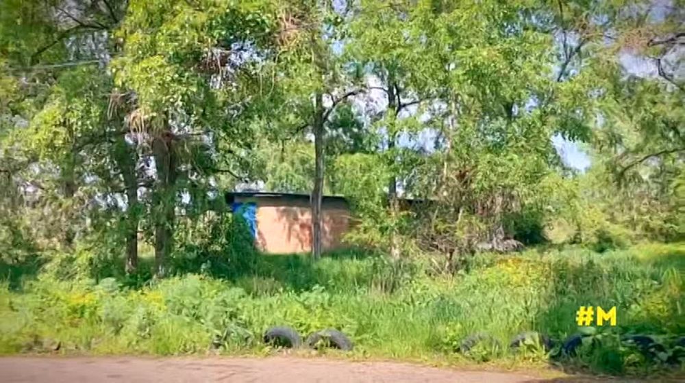 Суббота в Донецке.... Видео: Андрей Лысенко