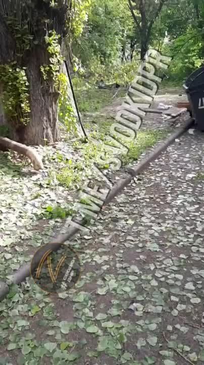 �������� ����� �������, ������������ 41, ����������� ��������� ��������