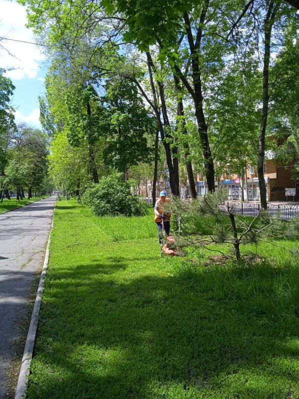 ������� ������: ������������� ��������� ������������ ������������� �. ������� "������� ������������� ������������ ������" ������ ������ �� ��������������� �������������� ������ �� ��������� ������