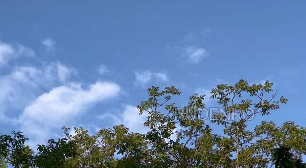 ������ �������: ��� ��� ��������. ����� ������