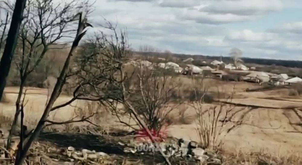 WarGonzo: ������������ �������� ����� ��� � �������� ������