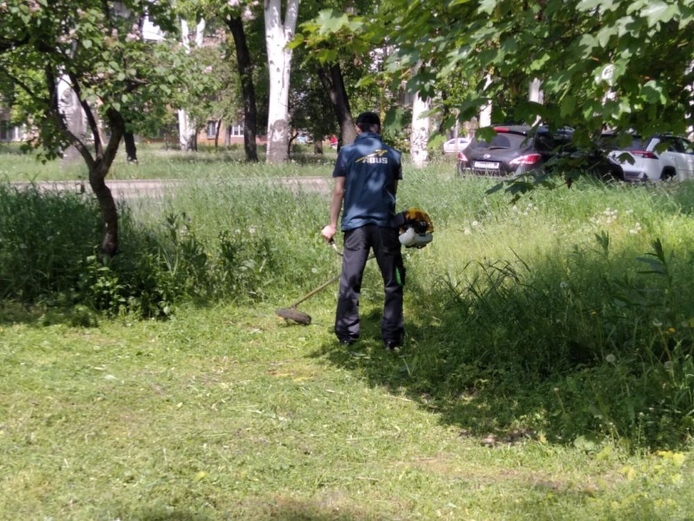 ������� ������: ������������� ��������� ������������ ������������� �. ������� "����������� �������� ������������ ������ �. �������" ������� ������ �� ������ ����� �� ���������� ����������� ���������������� ������ �����