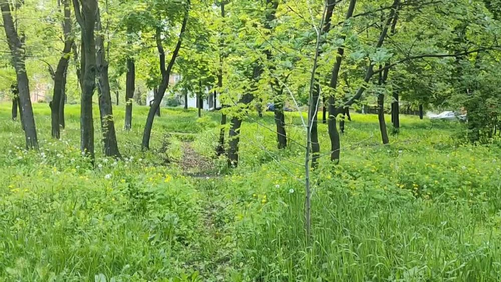 ������� ������: ������� �� ���� ��������� (���������) � ����������� ������ �.�������