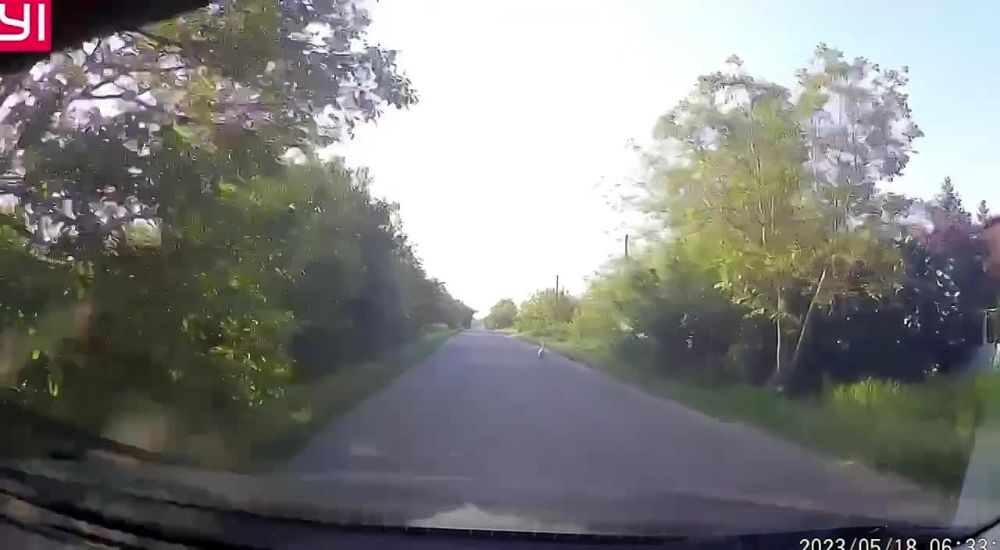 ��������� ����� �� �������� ����