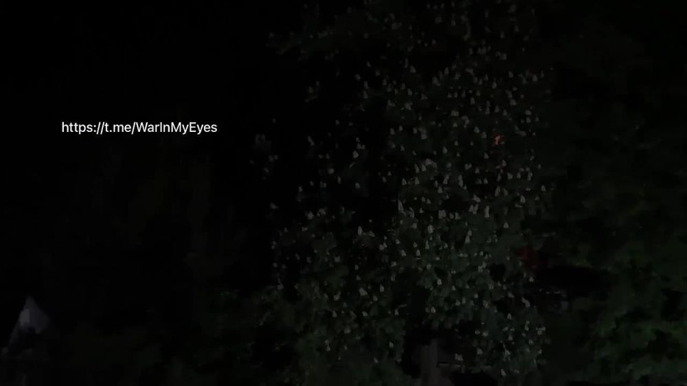 ��� ������� ���� �� ������ ������� �� ����, �������� � ������� ���������� ���