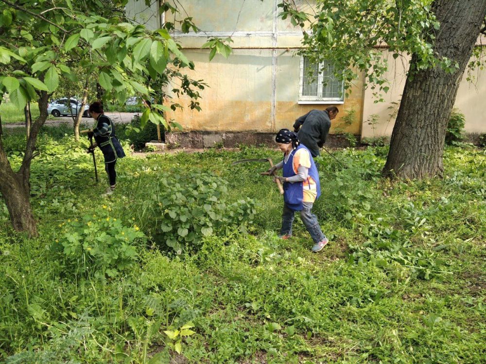 ������� ������: ������������� ��������� ������������ ������������� �. ������� "����������� �������� ������������ ������ �. �������" ������� ������ �� ������ ����� �� ���������� ����������� ���������������� ������ �����