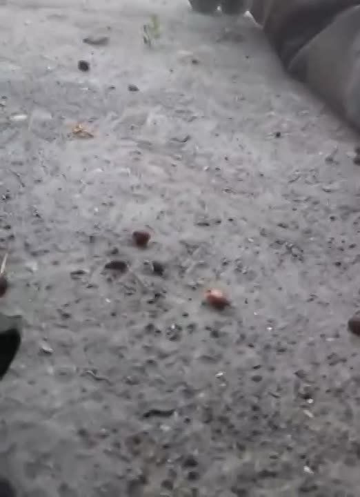 �������� ����������: ������ �������� � �������