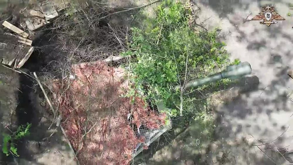 ����� �����: ������������ ������ ���������� ������� ������� ����!