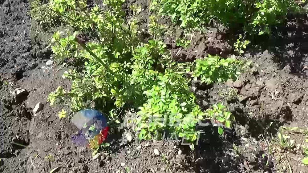 ���. � ������� �������� ����� ����
