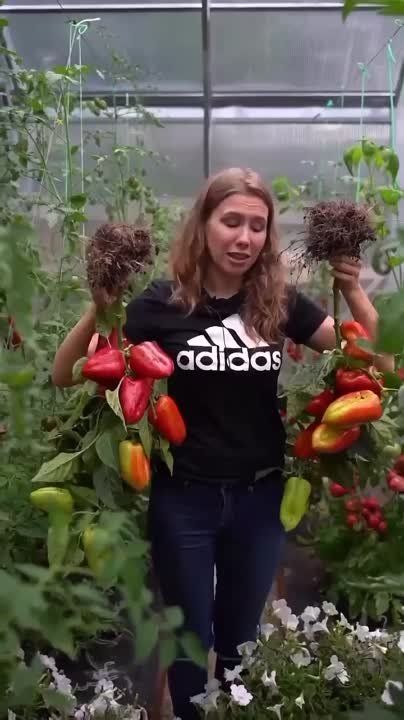 �� ������� ��� ������ ������ ����� ��������� � ����� "������ ����"