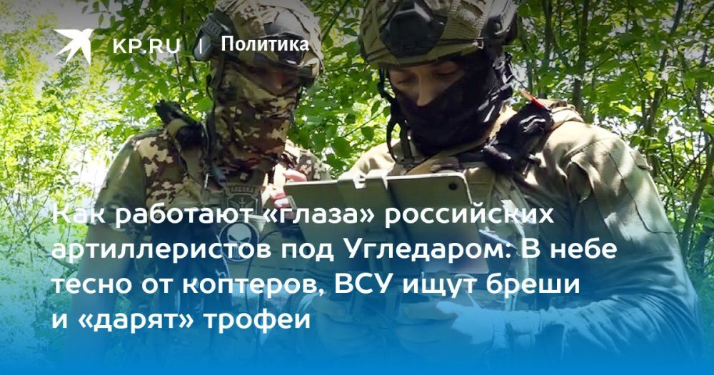 Дмитрий Стешин: Мой свежий репортаж с "наступоопасного" направления под Угледаром