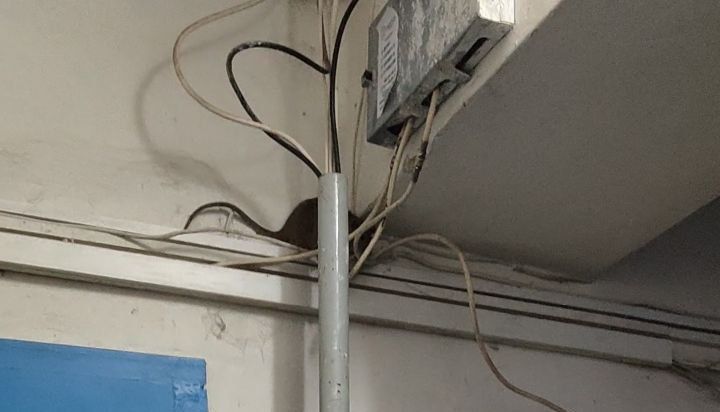 � �������� �� ��. ���������� ��� 2� ���� ����� �����