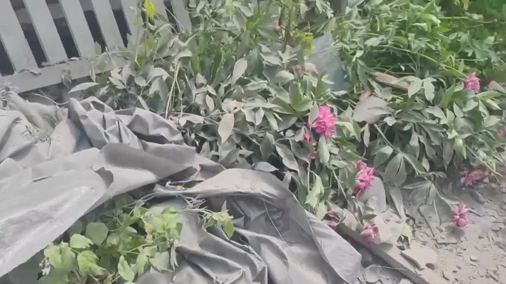 Юрий Котенок: Последствия очередного удара ВСУ по Куйбышевскому району Донецка