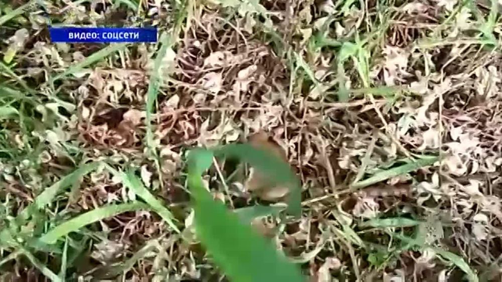 � ������ ���� ����� ��� ��� ����������� ����� 24 ����� ���