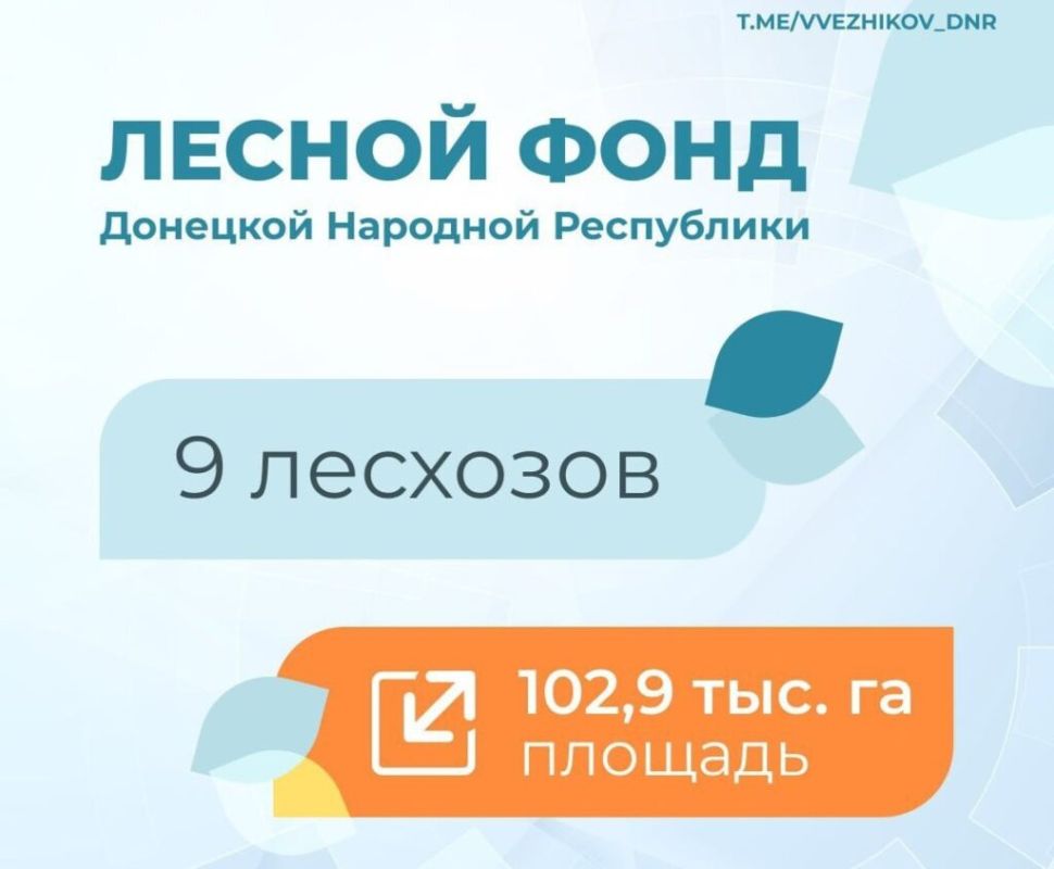 Решением Правительства организационно-правовая форма предприятий Госкомлесохоты ДНР будет изменена