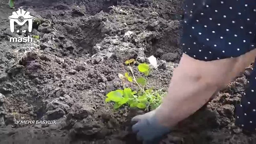 ������� �������� ��� ������� ���. ����� �������� �� ����